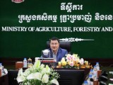 ឯកឧត្តម ឌិត ទីណា បានអញ្ជើញដឹកនាំកិច្ចប្រជុំពិភាក្សាលើការងារអភិវឌ្ឍធនធានមនុស្សរបស់ក្រសួង