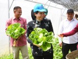 អភិបាលខេត្តប៉ៃលិន លើកទឹកចិត្តដល់កសិករឱ្យបង្កើនការដាំដុះបានកាន់តែច្រើន ដើម្បីលើកកម្ពស់ជីវភាពក្នុងគ្រួសារនិងផ្គត់ផ្គង់តម្រូវការទីផ្សារនៅក្នុងស្រុក