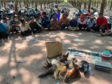 កម្លាំងជំនាញសមត្ថកិច្ច ចុះបង្ក្រាបក្រុមញៀនល្បែងស៊ីសងខុសច្បាប់ និងឃាត់ខ្លួន១៧នាក់ ក្នុងចម្កាកៅស៊ូ នៅស្រុកស្ទឹងត្រង់