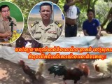 បនល្បែង”បញ្ជល់មាន់និងអាប៉ោង”ខ្នាតធំ នៅស្រុករវៀង កំពុងបើកដំណើរការយ៉ាងអនាធិបតេយ្យ!