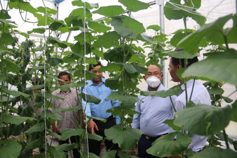 ឯកឧត្ដម តូច ប៉ូលីវ៉ា ដឹកនាំប្រតិភូខេត្តស្វាយរៀង ទស្សនកិច្ចសិក្សា និងកិច្ចប្រជុំពិភាក្សាអំពីការធ្វើកិច្ចសហប្រតិបត្តិការជាមួយជាមួយសាកលវិទ្យាល័យ គីវ ឡុង នៃសាធារណៈរដ្ឋសង្គមនិយមវៀតណាម