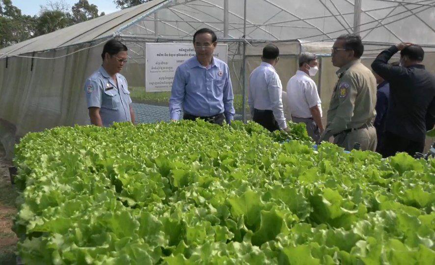 ​អភិបាលខេត្ត​កំពង់ស្ពឺ ជំរុញ​កសិករ​ឱ្យ​បង្កើន​ការដាំដុះ ដើម្បី​លើកកម្ពស់​ជីវភាព​ក្នុង​គ្រួសារ និង​ផ្គត់ផ្គង់​តម្រូវការ​ទីផ្សារ​នៅក្នុង​ស្រុក​
