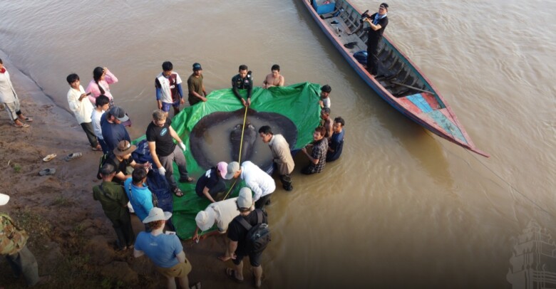 រដ្ឋបាលជលផល​ ស្នើ​បងប្អូន​ប្រជាពលរដ្ឋ កុំ​ធ្វើនេសាទ​ ដោយប្រើឧបករណ៍​ ដែលរាំងស្ទះ​ដល់ការធ្វើចរាចររបស់​ត្រី