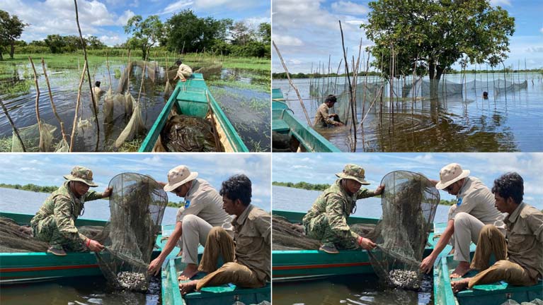 រដ្ឋបាល​ជលផល​ដំ​ដែក និង​សង្កាត់​រដ្ឋបាល​ជលផល​សូទ្រនិគម ចុះ​ល្បាត និង​បង្ក្រាប​បាន​បទល្មើស​នេសាទ​ចំនួន​ពីរ​ករណី នៅ​ចំណុច​ដែន​នេសាទ​សហគមន៍​កំពង់​ឃ្លាំង​